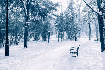 Blue monday concept with empty lonely bench in winter snow park background. blue monday in january