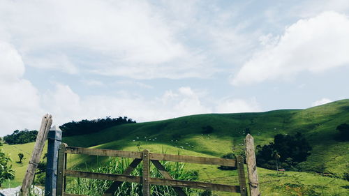 Scenic view of agricultural field against sky