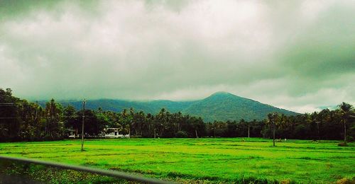 Scenic view of grassy field against cloudy sky