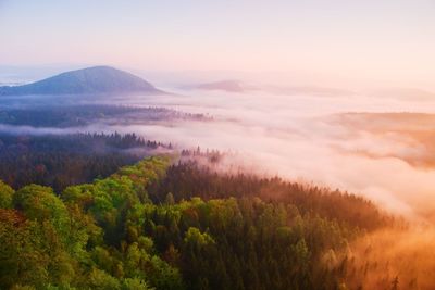 Misty daybreak in a beautiful hills. peaks of hills are sticking out from foggy background