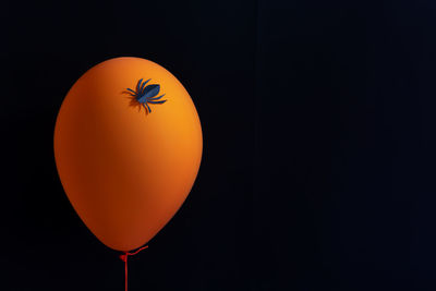 Close-up of orange balloon against black background