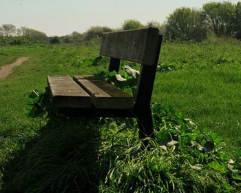 Abandoned bench on field