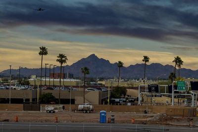 High angle view of palm trees at sunset