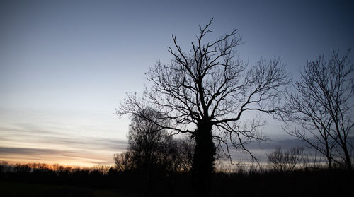 Silhouette bare trees on field against sky at sunset