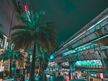 Illuminated buildings by palm trees against sky in city at night