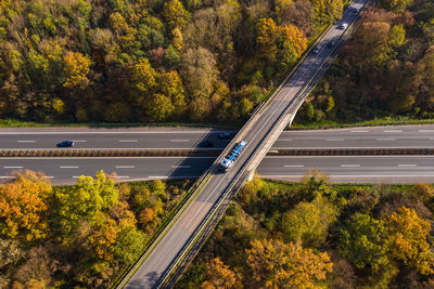 High angle view of road amidst trees during autumn
