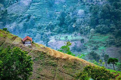 Scenic view of mountains