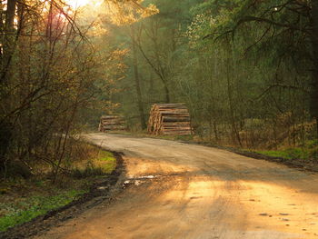 Dirt road amidst trees in forest