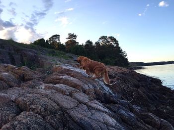Rock formations against sky