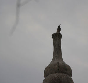 Close-up of bird against sky