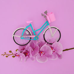 Close-up of pink toy bicycle against white background