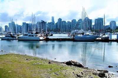 Boats moored at harbor