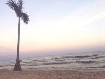 Scenic view of beach against sky during sunset