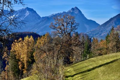 Scenic view of trees and snowcapped mountains against sky