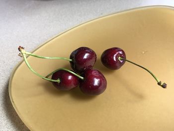 High angle view of grapes in plate on table