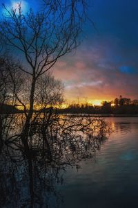 Reflection of bare trees in lake at sunset