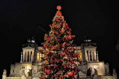 Low angle view of illuminated christmas tree at night