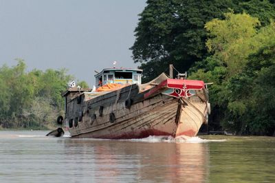 Boat moored on river by trees