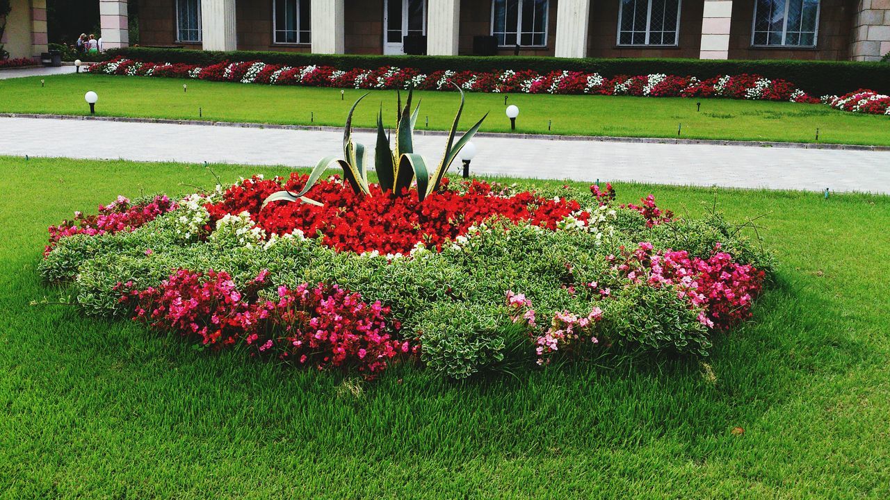 flower, growth, building exterior, architecture, grass, freshness, built structure, green color, fragility, beauty in nature, plant, nature, city, day, outdoors, formal garden, tranquility, multi colored, springtime, in bloom, no people, city life, pink color, garden, blossom, scenics