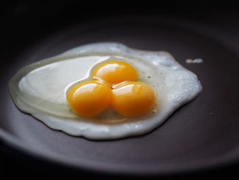 Close-up of fresh egg in plate