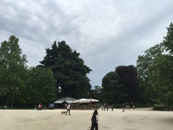 People walking by trees against sky