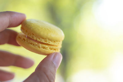 Close-up of hand holding macaroons 