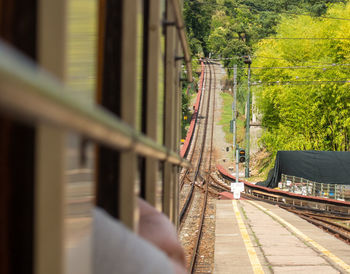 Train passing through plants