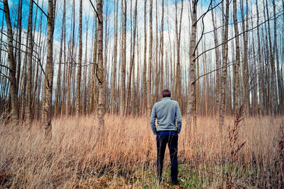 Rear view of man standing against bare trees in forest
