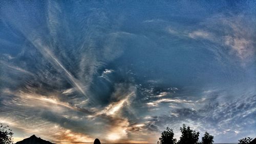 Low angle view of trees against sky