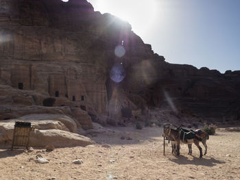 Horse cart on rock