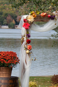 Red flowering plants by lake on wedding arch