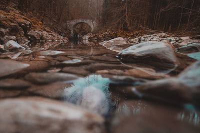 Surface level of water falling on rocks in forest