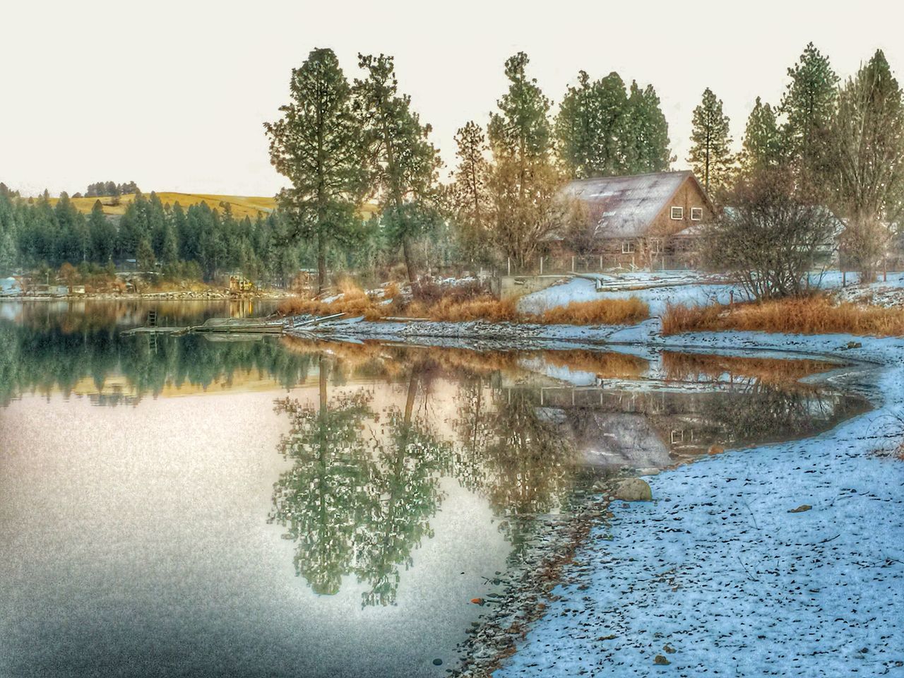 water, reflection, tree, clear sky, lake, tranquility, waterfront, tranquil scene, nature, wet, beauty in nature, growth, scenics, day, standing water, pond, outdoors, river, no people, plant