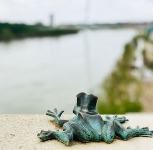 Close-up of animal statue on beach