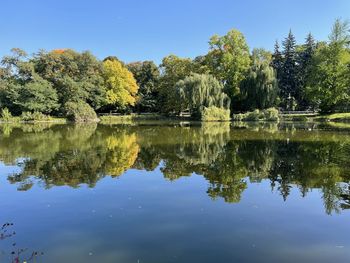 Reflection of trees in lake against sky