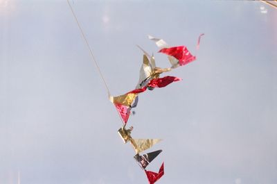 Low angle view of flowers