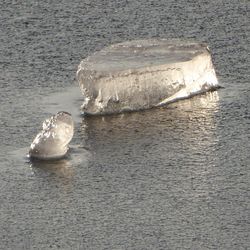 View of crab on beach