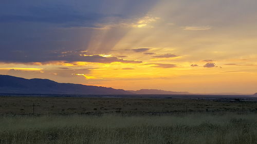 Scenic view of field against sky during sunset