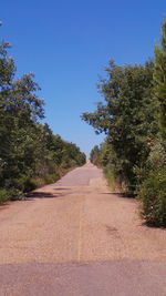 Empty road along trees