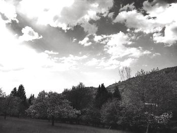 Trees on field against cloudy sky