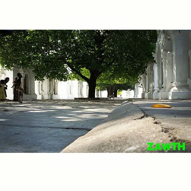 transfer print, auto post production filter, building exterior, the way forward, built structure, architecture, street, road, road marking, cobblestone, diminishing perspective, day, sunlight, tree, city, outdoors, footpath, sidewalk, incidental people, shadow