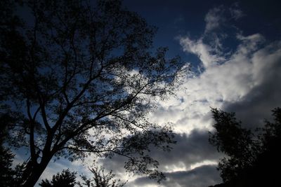 High section of silhouette tree against clouds