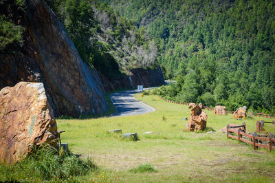 View of people sitting on landscape