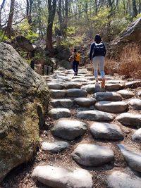 Rear view of people walking on footpath in forest