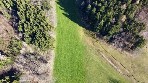 High angle view of road amidst trees on field
