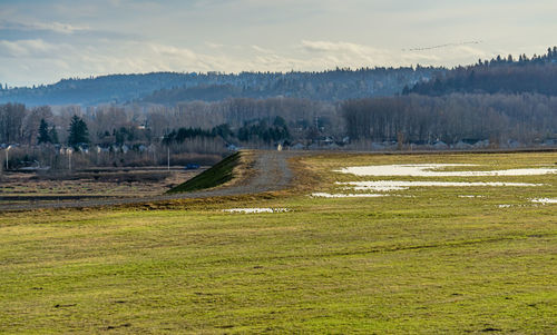 Scenic view of land against sky