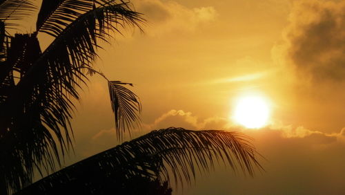 Silhouette palm trees against sky during sunset