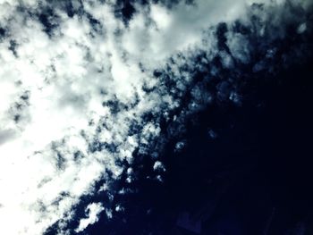 Low angle view of trees against sky