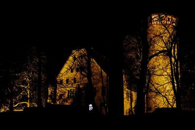 Low angle view of illuminated trees and building at night