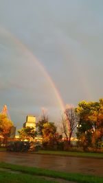 Rainbow over trees against sky